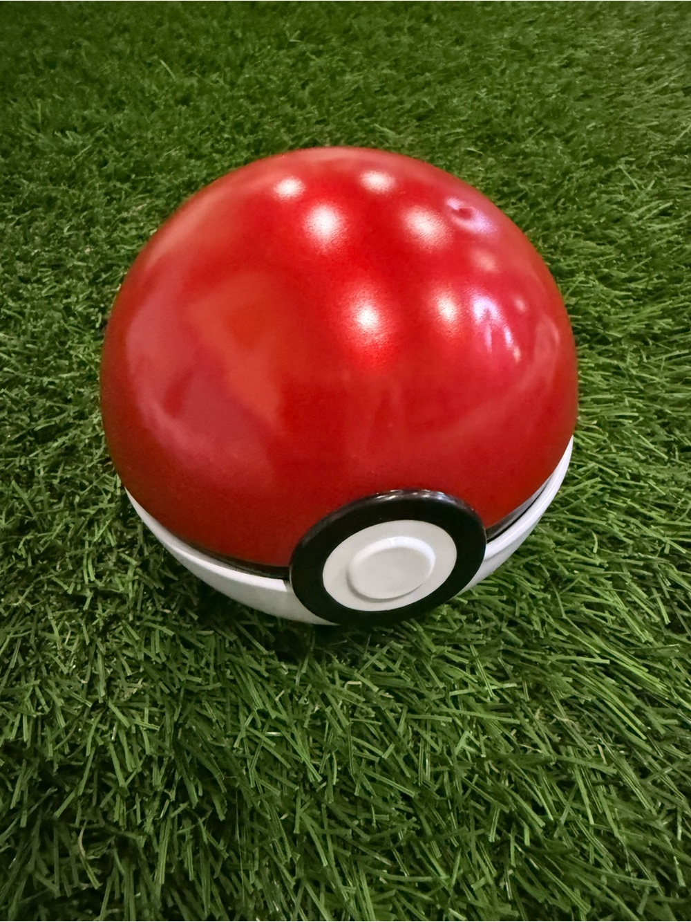 Pokémon Collectible Tin Ball